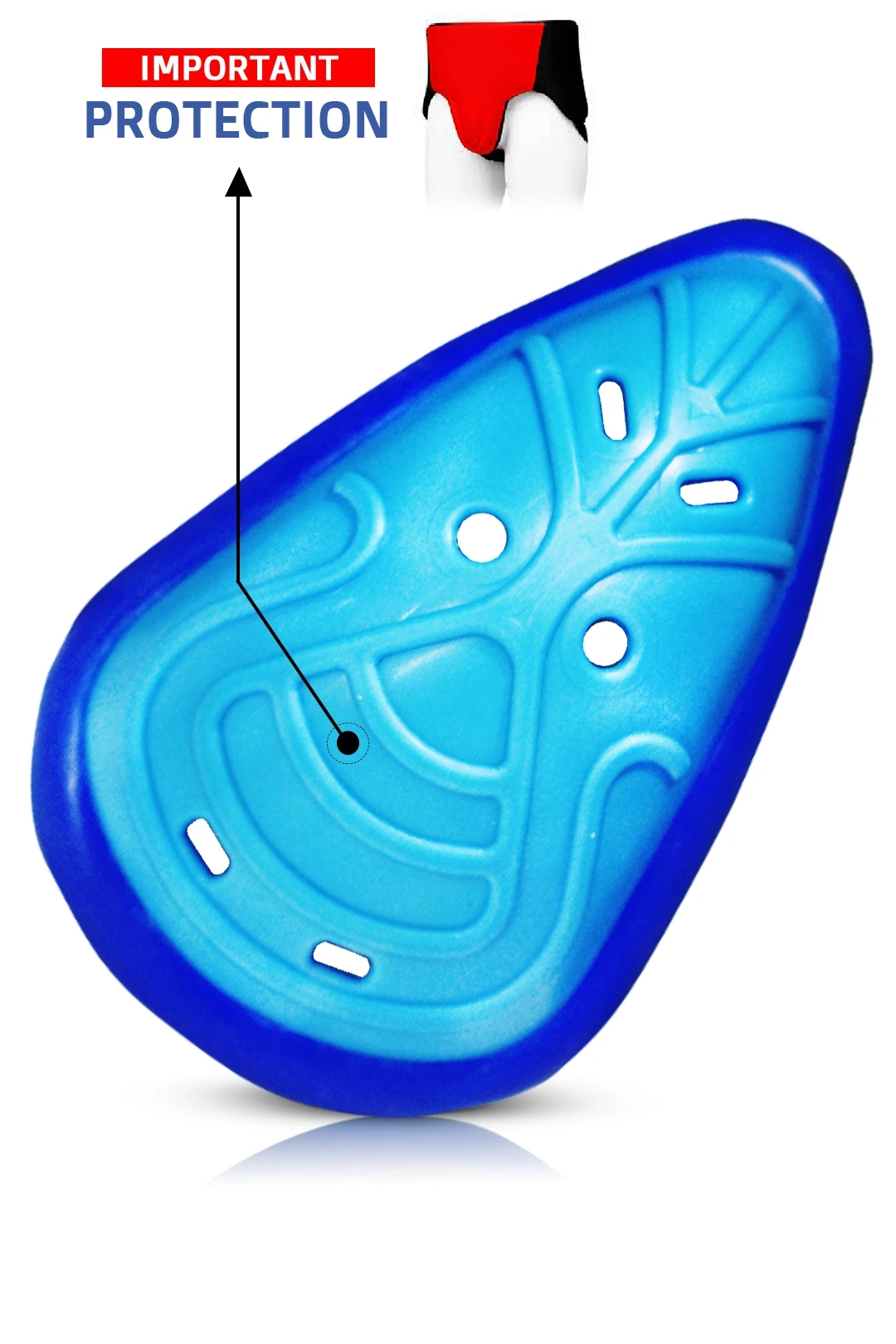 HEEGA Cricket Abdominal Guard | L-Guard Blue