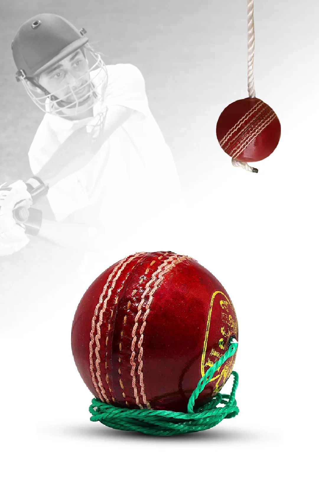 Heega Practice Hanging Cricket Ball (Knocking Ball)