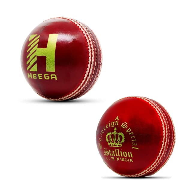 Heega Stallion Premium Quality Conventional Cricket Leather Ball (Red)