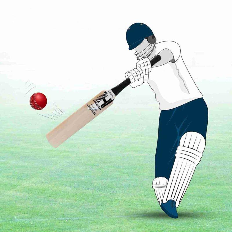 How the Right Cricket Bat Can Enhance Your Performance: A Comprehensive Guide