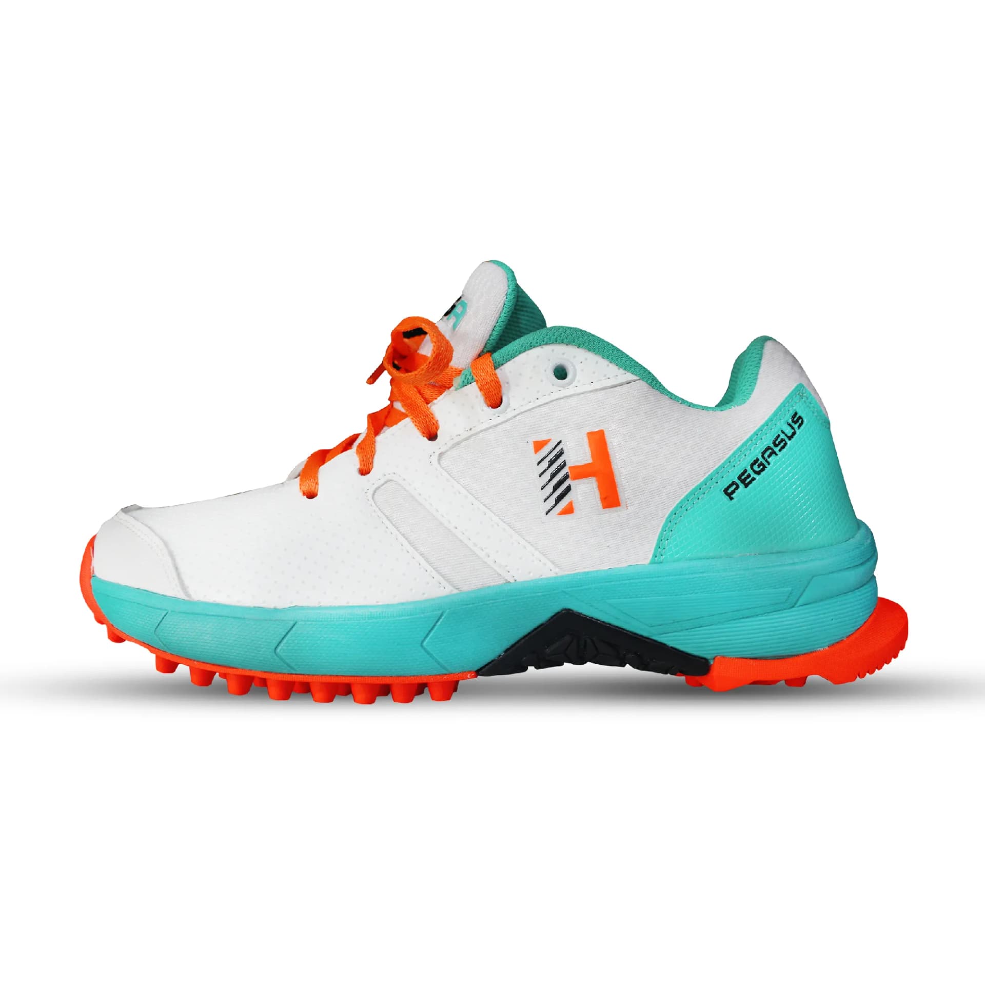 Heega Pegasus Cricket Shoes for Men's