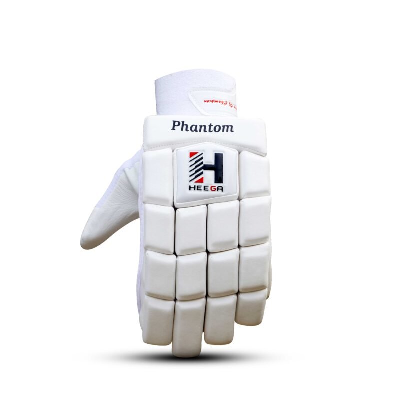 Phontom Batting Gloves Back