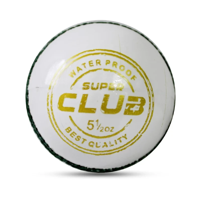 Paint White Cricket Leather Ball